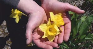 GIARDINO a MARZO