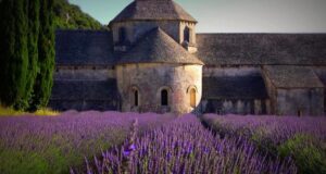PROVENZA e CAMARGUE