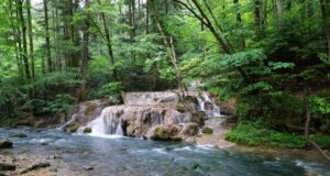 L’ALSAZIA e la FORESTA NERA