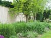 Il giardino a GIUGNO