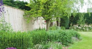 Il giardino a GIUGNO