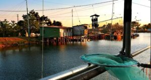 BIKE&BOAT nelle Valli di Comacchio