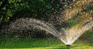 IL GIARDINO AD AGOSTO