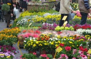 MODENA IN FIORE