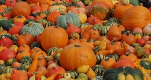 FIERA DELLA ZUCCA