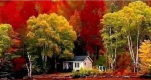L’AUTUNNO