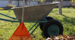 IL GIARDINO A OTTOBRE