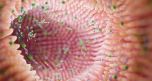 Microbiota e microbioma intestinale: le differenze