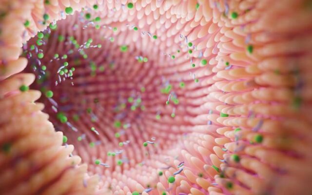 microbio