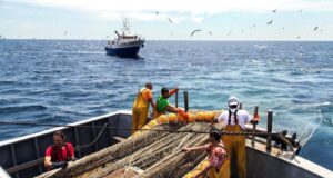 IL PESCE FA FESTA