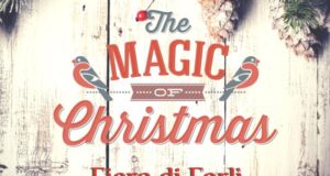 THE MAGIC CHRISTMAS