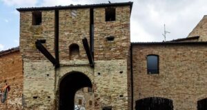 FOSSA, TARTUFO E VENERE