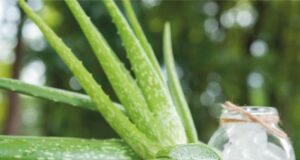 RIMEDI NATURALI PER LE PICCOLE BRUCIATURE