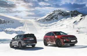CERCATE UN SUV per la neve?