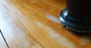 LA CURA DEL PARQUET