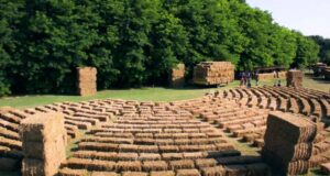 12 18 luglio – NELL’ARENA DELLE BALLE DI PAGLIA