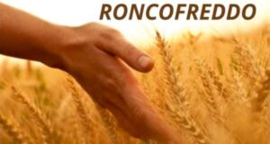 21 luglio – FESTA DEL PANE