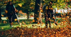 IL GIARDINO a DICEMBRE
