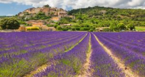 Lago Trasimeno e la festa della lavanda di Assisi 06-07 luglio
