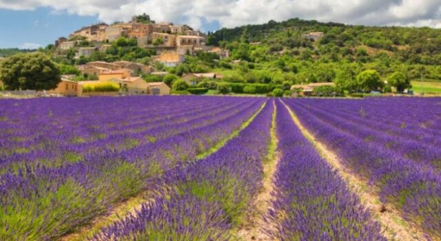 assisi