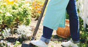 IL GIARDINO A MARZO
