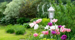 IL GIARDINO A MAGGIO