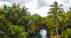 India del Nord e Kerala – 14-23 novembre
