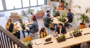 Contratto di coworking e locazione commerciale 6+6: profili giuridici a confronto