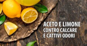 ACETO E LIMONE CONTRO CALCARE E CATTIVI ODORI