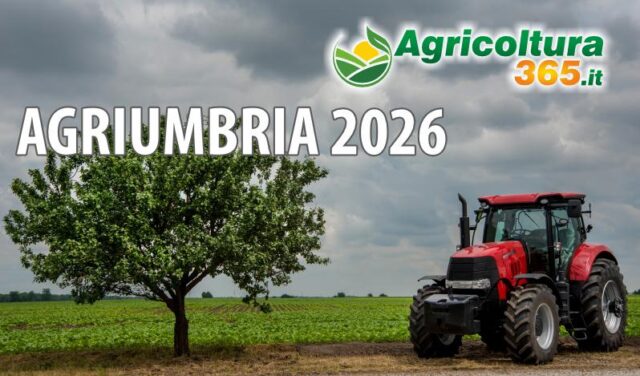 agriumbria