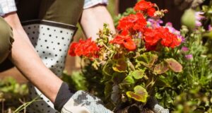 GIARDINO A MARZO – PARTIRE CON IL PIEDE GIUSTO