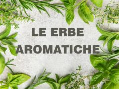 Le erbe aromatiche