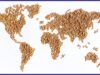 LA CUCINA NEL MONDO