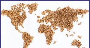 LA CUCINA NEL MONDO