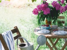 ACQUA, OMBRA E PICCOLI INTERVENTI DECISIVI