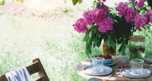 ACQUA, OMBRA E PICCOLI INTERVENTI DECISIVI