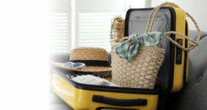 PARTENZA PER LE VACANZE-I CONTROLLI INTELLIGENTI